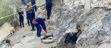 Perrito encuentra CUERPO DESMEMBRADO y lleva una extremidad a casa: Familia quedó en SHOCK Perrito encuentra CUERPO DESMEMBRADO y lleva una extremidad a casa: Familia quedó en SHOCK