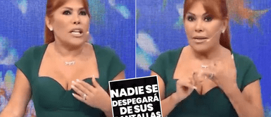 Magaly Medina pierde los papeles tras ser ACUSADA de aceptar DINERO para eliminar un AMPAY Magaly Medina pierde los papeles tras ser ACUSADA de aceptar DINERO para eliminar un AMPAY
