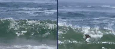 Jefferson Farfán sufre al ser arrastrado por inmensa ola. ¿Jefferson Farfán casi muere ahogado? Así fue tragado la 'Foquita' por GIGANTESCA ola