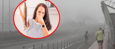 ¿Por qué HUELE A PESCADO en Lima y Callao en las mañanas? Origen de este peculiar olor Conoce el origen del OLOR A PESCADO en Lima y Callao según Senamhi