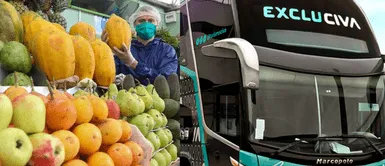 Esta es la historia de una de las empresas exitosas del país. De un HUMILDE comienzo a GIGANTE del transporte: La ASOMBROSA historia de Civa, la empresa que inició vendiendo frutas