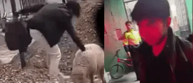 Joven justificó el maltrato animal en Huancayo. ¡Indignante! Joven mata a patadas a oveja en Huancayo y dueña clama por justicia