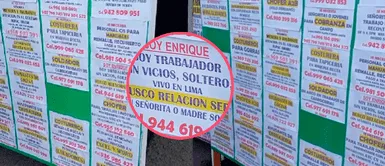Peruano busca pareja a través de ANUNCIOS de empleo y se vuelve VIRAL Peruano busca pareja a través de ANUNCIOS de empleo y se vuelve VIRAL: "Trabajador, sin vicios y SOLTERO"
