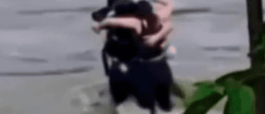 El TRÁGICO abrazo final de tres amigos ANTES DE MORIR tras ser ARRASTRADOS por la corriente El TRÁGICO abrazo final de tres amigos ANTES DE MORIR al ser ARRASTRADOS por la corriente
