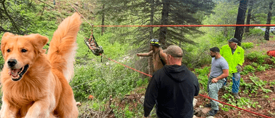 Perrito salva la vida de su dueño en Estados Unidos Perrito corrió 6 kilómetros en busca de ayuda para SALVAR LA VIDA de su dueño