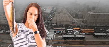 Mal olor en Lima: Senamhi aclara el origen del hedor en SJL, Los Olivos y Callao Mal olor en Lima: Senamhi aclara el origen del hedor en SJL, Los Olivos y Callao