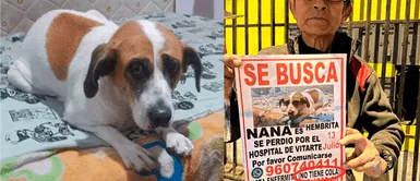 Adulto mayor recorre desde hace 1 año todas las noches el distrito de ATE buscando a su perrita Adulto mayor recorre, desde hace 1 año, todas las noches en bicicleta el distrito de ATE buscando a su perrita