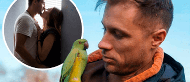 Hombre descubre infidelidad gracias a sus loros Loros repitieron a un hombre la CONVERSACIÓN de su esposa con su AMANTE: "Mi marido no está, ven"