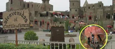 El Castillo Jurásico se convierte en el primer parque temático de su tipo en el Perú. ¿Dinosaurios en el Castillo de Chancay? Conoce el nuevo Parque Jurásico del Perú