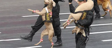 Conoce dónde ver estratégicamente la Gran Parada Militar. ¿No tienes entrada para la Gran Parada Militar 2024? ¡Descubre los mejores lugares para verla!