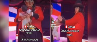Acusan a circo de Ernesto Pimentel de maltratar perritos colocándoles bolsas en sus cabezas Acusan a circo de Ernesto Pimentel de maltratar perritos colocándoles bolsas en sus cabezas