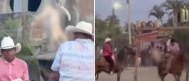 Indignación por la tortura y muerte de un gato en una fiesta tradicional de México Indignación por la tortura y muerte de un gato en una fiesta tradicional de México