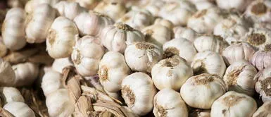 ajo argentico ¡Precio del ajo se dispara! Más de 40 soles el kilo en mercados