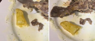 Dueño de pollería de Breña lamenta que hormiga se haya 'colado' al plato de su cliente: "Mi negocio va a quebrar" Dueño de pollería de Breña lamenta que hormiga se haya 'colado' al plato de su cliente: "Mi negocio va a quebrar"