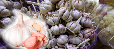 Cómo sustituir el ajo en los guisos Precio del ajo se dispara: ¿Cómo sustituirlo en tus guisos ahora que está carísimo?