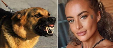 Madre muere un día después de ser atacada mortalmente por un perro: la herida no pudo ser curada Madre muere un día después de ser atacada mortalmente por un perro: la herida no pudo ser curada