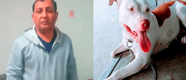 Policía asesina a balazos a perrita frente a su dueña adolescente en Lambayeque ¡Indignante! Policía asesina a balazos a perrita frente a su dueña adolescente en Lambayeque