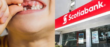 ¿Por qué Scotiabank ya no dará 100 soles a los niños que lleven su diente de leche al banco? ¿Por qué Scotiabank ya no dará 100 soles a los niños que lleven su diente de leche al banco?
