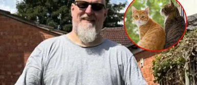 Hombre muere tras pelar con dos gatos: sufrió una terrible lesión en la cabeza Hombre muere tras pelar con dos gatos: sufrió una terrible lesión en la cabeza