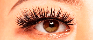 ¿Por qué se me CAEN LAS PESTAÑAS? ¿Por qué se me CAEN LAS PESTAÑAS? Tu salud podría estar en RIESGO y NO LO SABÍAS