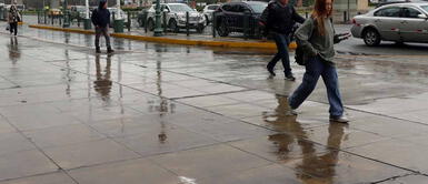 Ya ni la frazada tigre nos protege del frío. Llovizna intensa en Lima y Callao: ¿Cómo estará el clima en los próximos días?