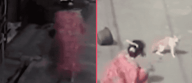 Gato se venga de mujer que lo mojó y la derriba al suelo en un ataque inesperado ¡Insólito! Gato se venga de mujer que lo mojó y la derriba al suelo en un ataque inesperado