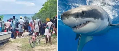 Adolescente decide ayudar a su familia y va a pescar: pierde la vida decapitado por tiburón Adolescente decide ayudar a su familia y va a pescar: pierde la vida decapitado por tiburón