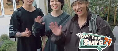 BTS se reencuentra con sus fans a través de "Are you sure?" "Are you sure?" de BTS, CAPÍTULO 6 en SUB ESPAÑOL: LINK para ver show de Jimin y Jungkook