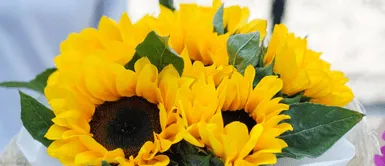 El día de las flores amarillas: Una tendencia mágica de amor y alegría El día de las flores amarillas: Una tendencia mágica de amor y alegría