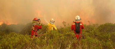 Incendio está arransando lugares arqueologicos Tragedia en Amazonas: Incendio forestal cobra 7 vidas y periodista rompe en llanto en plena transmisión en vivo