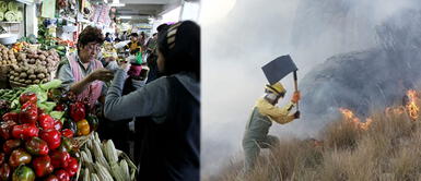 Los incendios no solo afectarían al ecosistema, sino a nuestros bolsillos. ¡ALERTA! Conoce los productos que subirán de precios debido a los incendios forestales