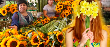 Dónde comprar flores amarillas en Lima: Los mercados ideales para el 21 de septiembre El secreto mejor guardado: ¿Dónde comprar las flores amarillas más deseadas en Lima este 21 de septiembre?