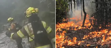 Bomberos conmueven con estas palabras. La EMOTIVA reacción de los Bomberos al caer la LLUVIA frente a los incendios forestales en Ucayali