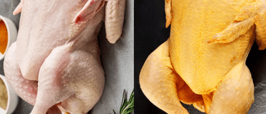 ¿El pollo blanco o amarillo son saludables para la salud? ¿Qué POLLO comprar en los mercados: el AMARILLO o el BLANCO?