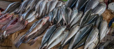 Ahora piden ya no vender un popular pescado en los supermercados. Prohíben venta de popular pescado en supermercados por altos niveles de mercurio