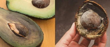 La verdadera razón de su oscurecimiento ¿Por qué la palta se oscurece fácilmente?