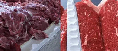 Distinguir entre la carne de res y la carne de caballo no es una tarea imposible si se toman en cuenta ciertos factores como el color, la textura, el olor y el etiquetado. ¿Cómo diferenciar la carne de res de la carne de caballo en el mercado?