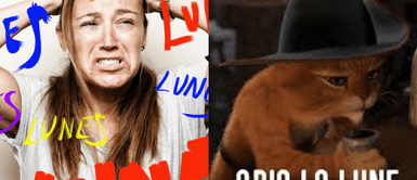 El origen del "odio a los lunes" se puede rastrear a la transición entre el fin de semana. ¿Por qué odiamos los lunes? La teoría detrás del fenómeno global