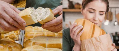 ¿Cuántos panes debo comer al día? ¿Cuántos panes se debería comer al día? Expertos responden