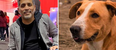 Director de Vaguito explota al ser encarado por el dinero que recaudó película para albergues Director de Vaguito explota al ser encarado por el dinero que recaudó película para albergues