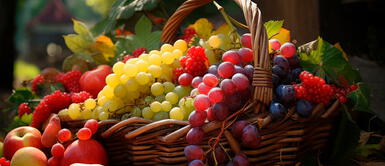 ¡Adiós a la caída del cabello! Tres exóticas frutas que detendrán el problema ¡Adiós a la caída del cabello! 5 exóticas frutas que detendrán el problema