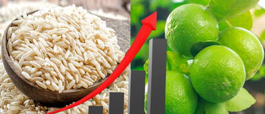 Arroz y limón podrían duplicar su precio y escasear tras crisis en Piura Arroz y limón podrían duplicar su precio y escasear tras crisis en Piura