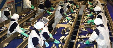 Exigen que se retire este pescado de los supermercados ¡ALERTA! Ordenan el retiro de este pescado de todos los supermercados porque te está envenenando