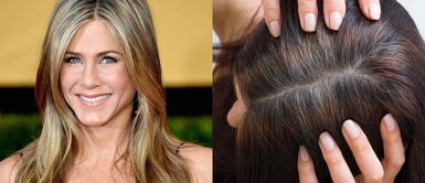 10 champús que disimulan las canas sin comprometer la salud de tu cabello 10 champús que disimulan las canas sin comprometer la salud de tu cabello