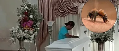 Mujer de 68 años fue atacada por enjambre de abejas. ¡Tragedia mortal! Mujer de 68 años muere tras ser atacada por enjambre de abejas