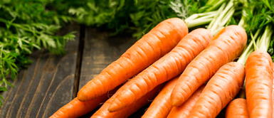 Mantén fresca y dura tu zanahoria. Ni la refrigeradora ni el frutero, este el lugar correcto de las zanahorias