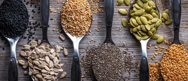 La semilla poderosa que te ayudará a fortalecer los huesos. ¡El misterioso secreto de los huesos fuertes! Descubre la semilla milagrosa rica en magnesio y calcio