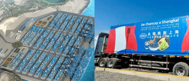 Este es el primer producto peruano que exportan desde Puerto de Chancay a Shanghái Este es el primer producto peruano que exportan desde Puerto de Chancay a Shanghái