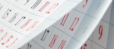 Feriado del 25 de noviembre del 2024 ¿Se cancelan las clases este 25 de noviembre? Conoce qué se celebra y qué dice el Gobierno