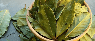 Laurel para la buena suerte. La sorprendente razón por la que debes llevar una hoja de laurel en tu monedero
